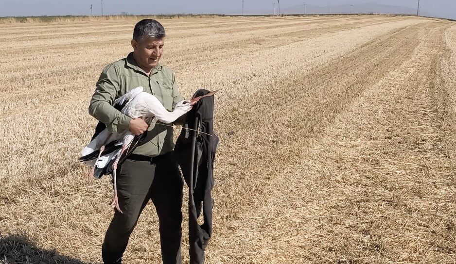 Elektrik akımına kapılan eşinin başından 5 gün ayrılmadı 7 Bülten Medya -