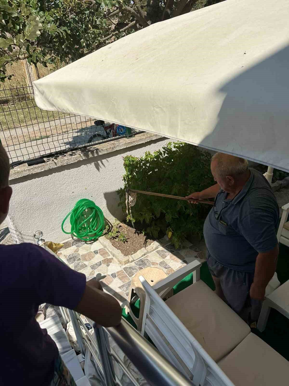 Enez’de sitede yılan paniği 24 Bülten Medya -