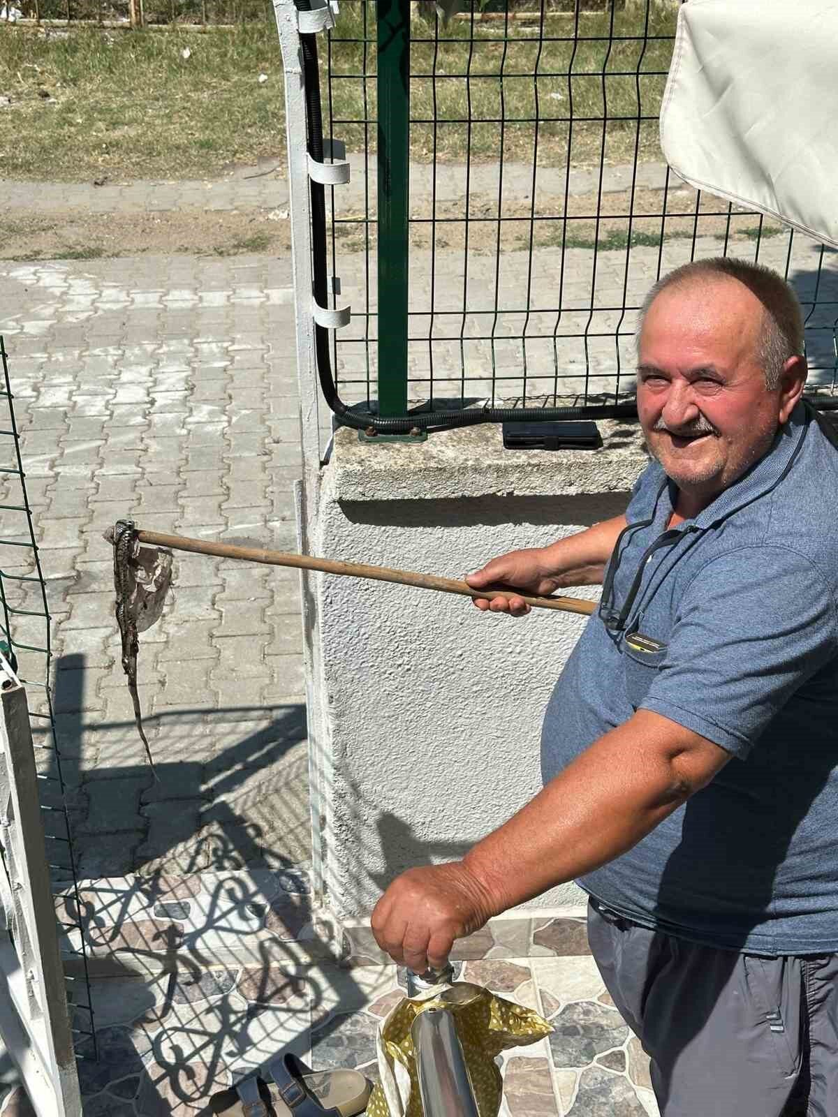 Enez’de sitede yılan paniği 19 Bülten Medya -