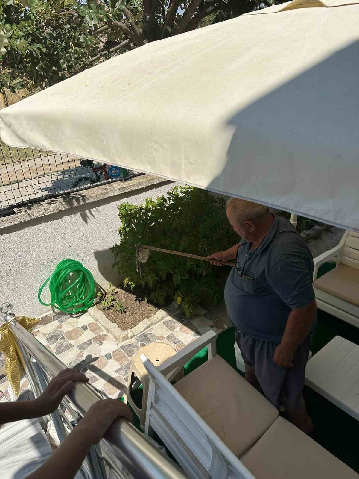 Enez’de sitede yılan paniği 22 Bülten Medya -