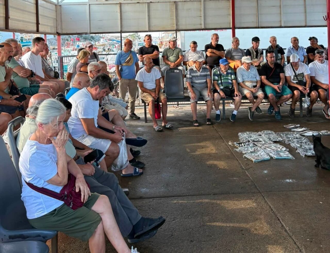 Erdek’te balıklar mezatta satışa sunuldu 15 Bülten Medya -