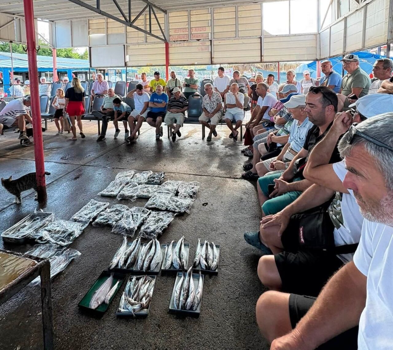 Erdek’te balıklar mezatta satışa sunuldu 13 Bülten Medya -