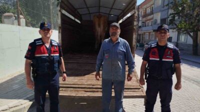 Eskişehir’de otlatıldığı araziden çalınan 4 büyükbaş hayvandan biri, Bilecik’te bulundu.