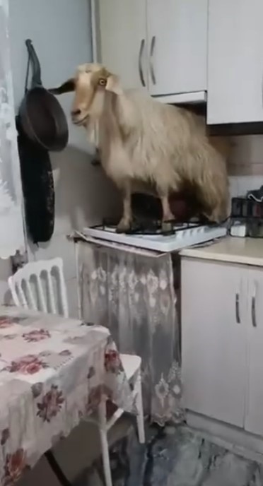 Bülten Medya -