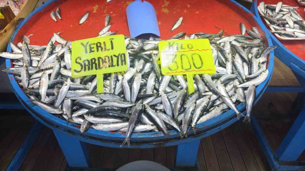 Eylül ayında palamuta doyacağız 22 Bülten Medya -