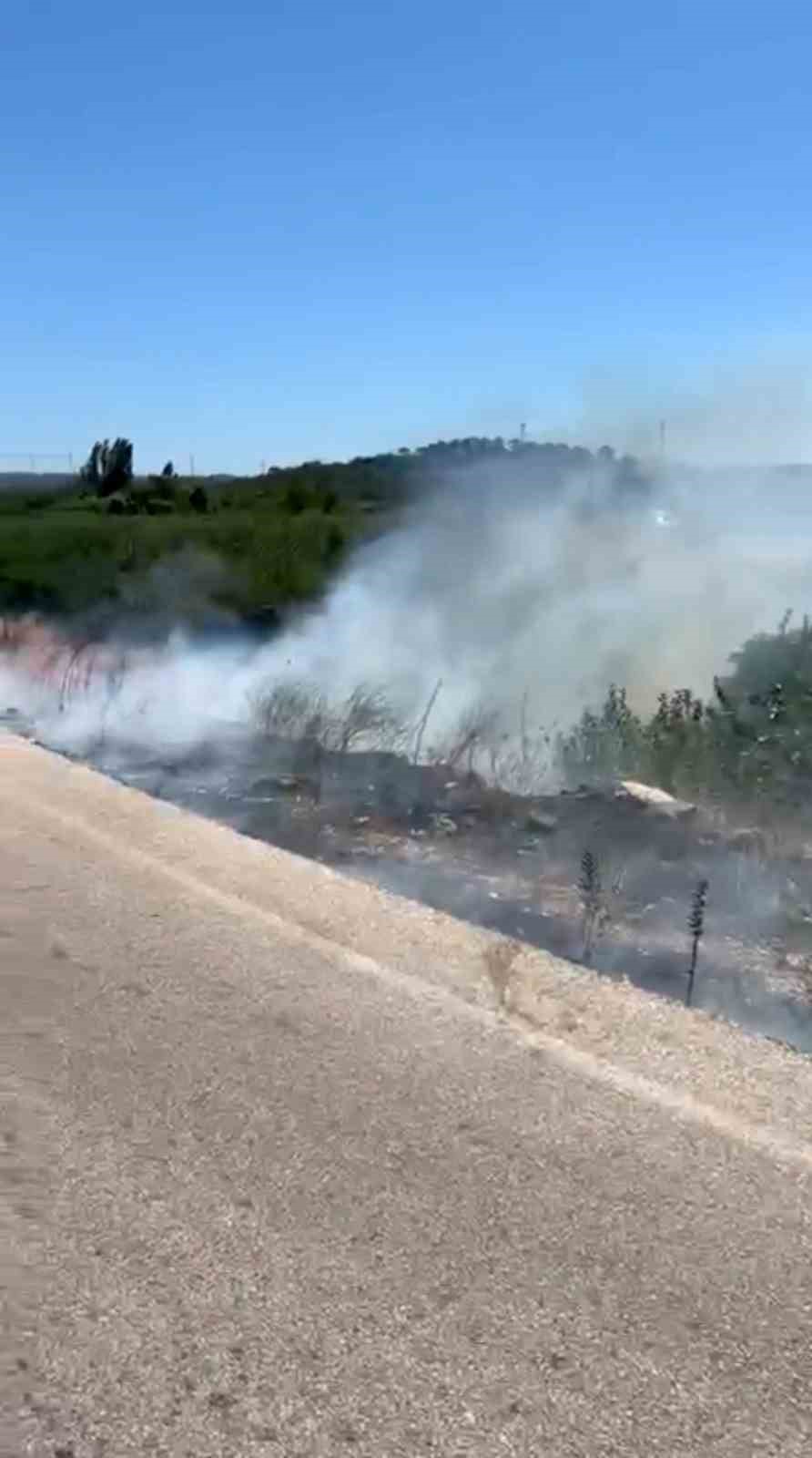  Çanakkale'nin Ezine ilçesinde yol kenarındaki otluk alanda çıkan yangın,