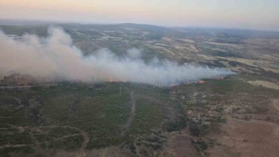 Çanakkale’nin Ezine ilçesinde çıkan orman yangına Orman Bölge Müdürlüğü ekipleri