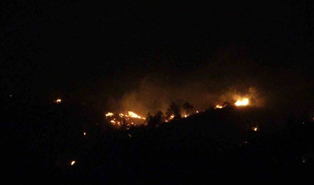 Ezine’deki orman yangınının enerjisi düşürüldü Çanakkale’nin Ezine ilçesinde çıkan orman yangınına ekiplerin müdahalesi sürüyor. Yangının
