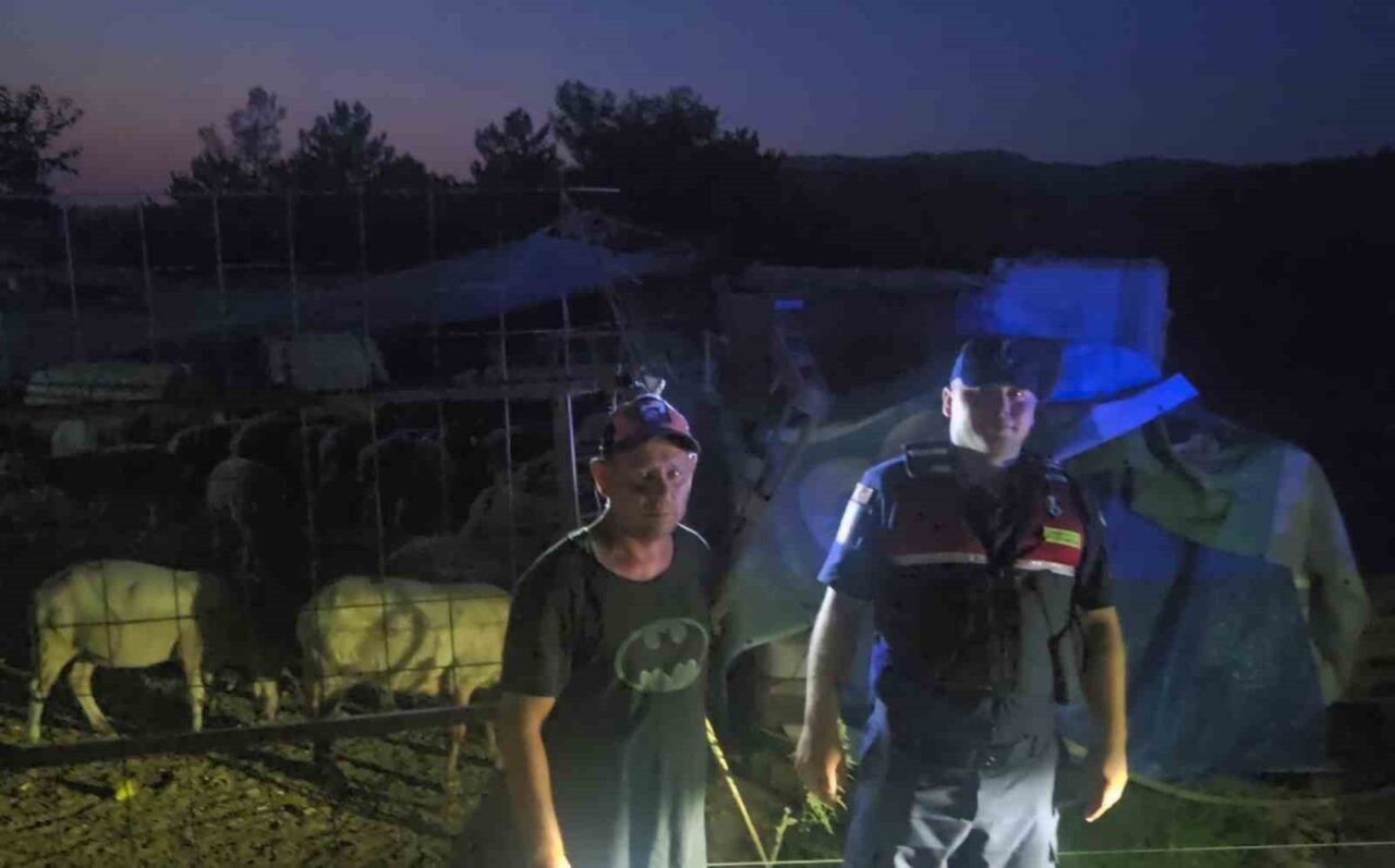 Firar eden 50 koyun jandarmanın dronu ile bulundu 14 Bülten Medya -