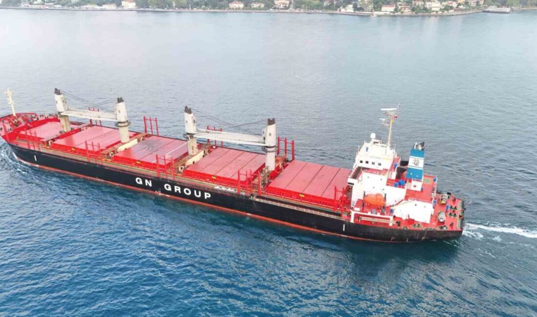 Ukrayna açıklarında İHA ve füze saldırılarına hedef olan Panama bayraklı