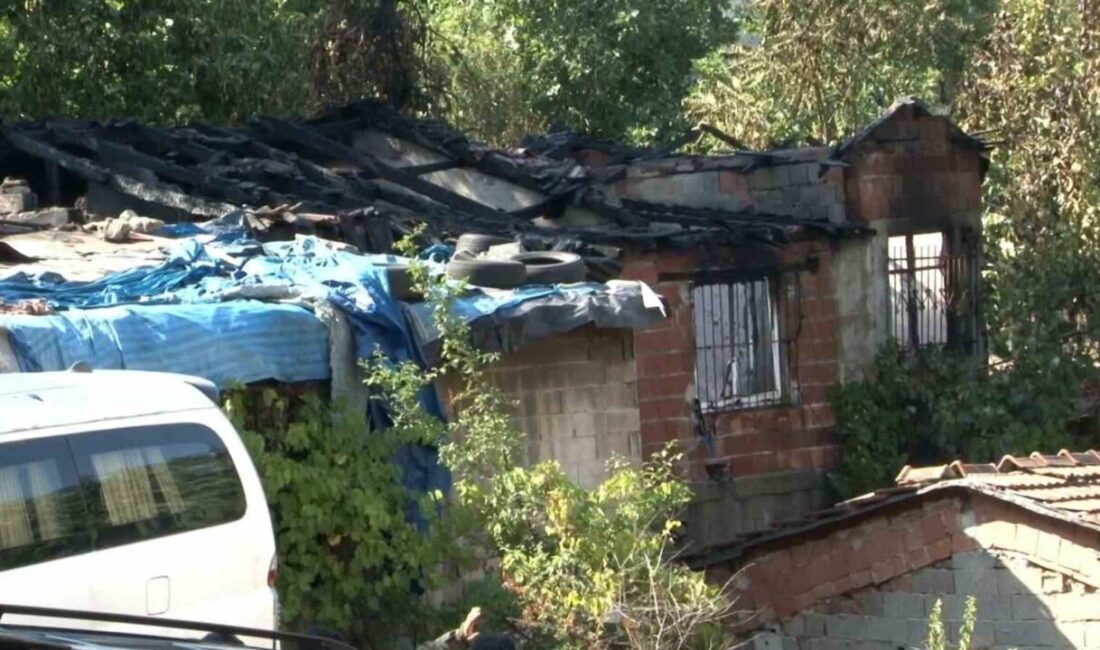 Gaziosmanpaşa’da Korkutan Gecekondu Yangını! Alevler Yan Eve Sıçradı İstanbul Gaziosmanpaşa'da harabe haldeki bir gecekonduda çıkan yangın kısa sürede