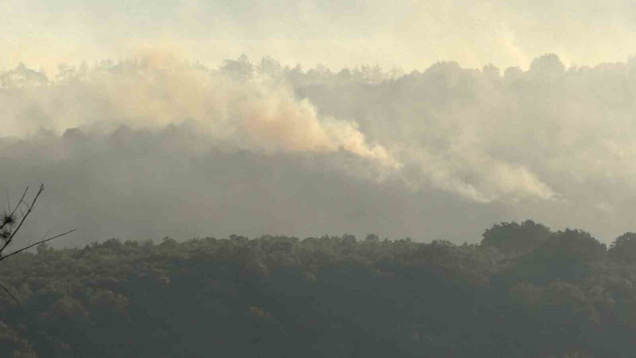 Gebze’deki orman yangını havadan görüntülendi 12 Bülten Medya -