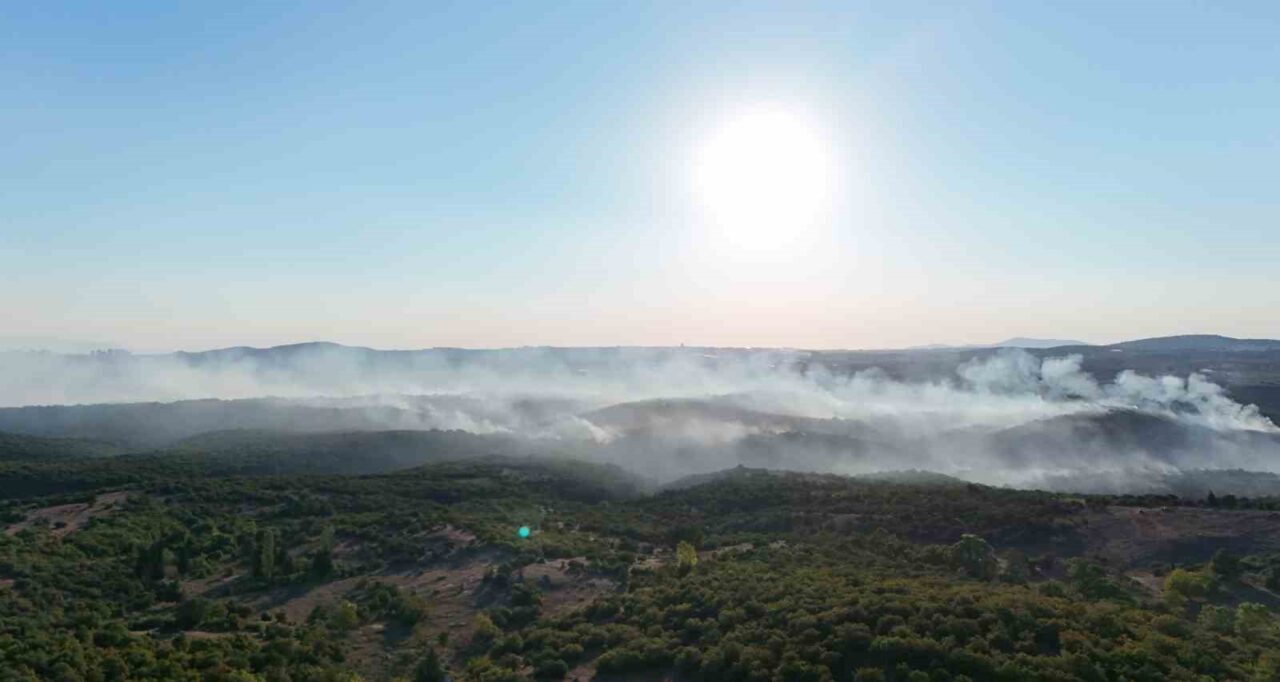 Gebze’deki orman yangını havadan görüntülendi 10 Bülten Medya -