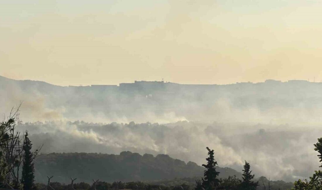 Gebze’deki orman yangını havadan görüntülendi Kocaeli’nin Gebze ilçesinde kırsal alanda başlayarak ormanlık alana sıçrayan yangına
