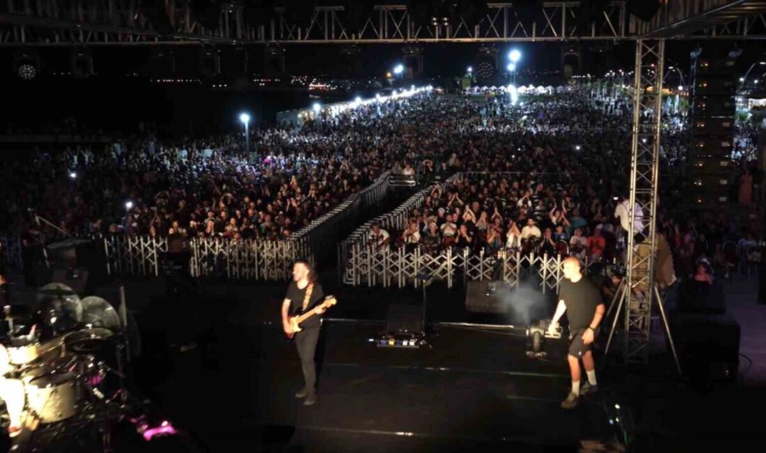 Balıkesir’in Gömeç ilçesinde bu yıl 5’incisi düzenlenen Uluslararası Zeytindalı Kültür