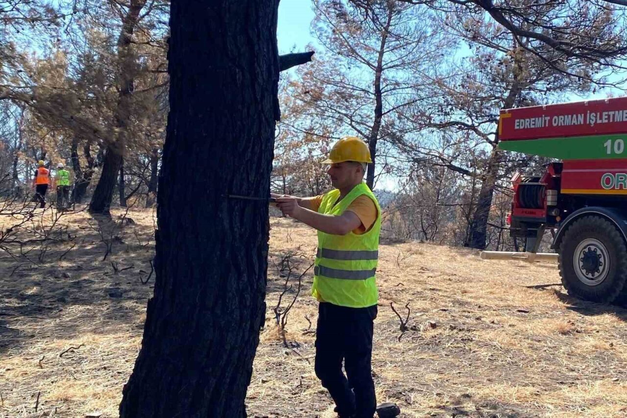 Gömeç’te yangının ardından yeni dönem 1 Bülten Medya -