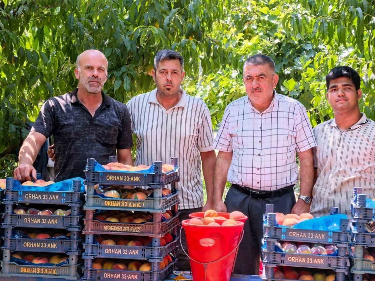 Bülten Medya -