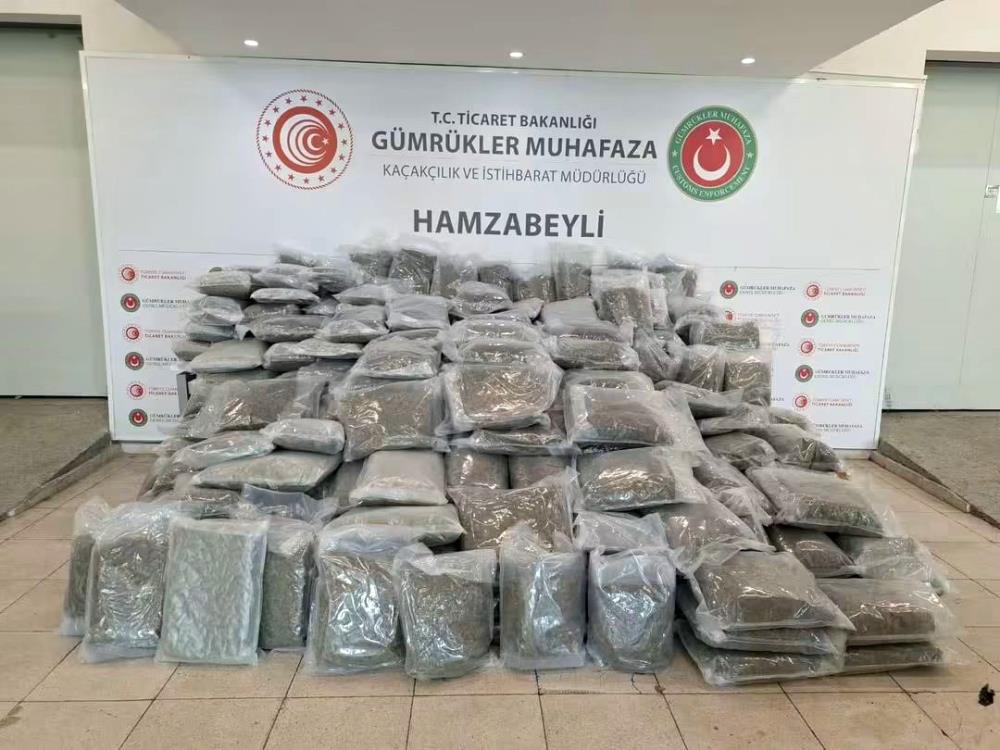 Edirne Hamzabeyli Gümrük Kapısı’nda Türkiye’ye giriş yapan bir tırda 287