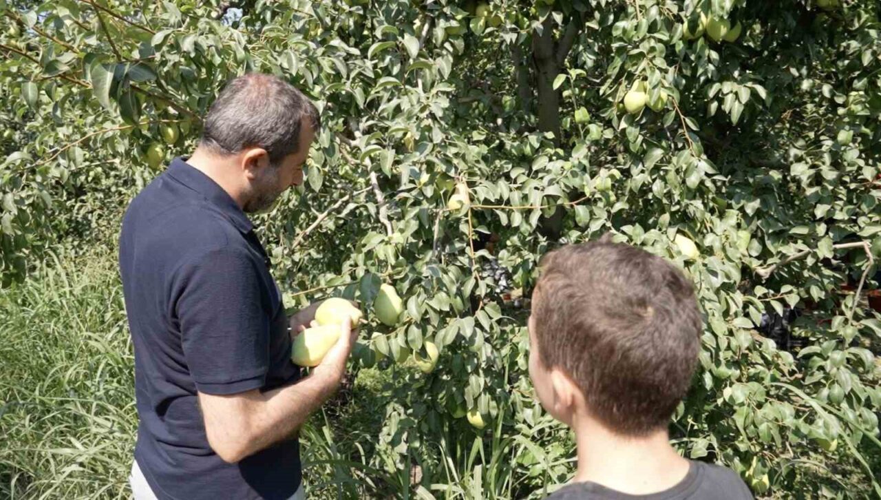 Gürsu’nun küçük çiftçisi herkesi kendine hayran bıraktı 8 Bülten Medya -