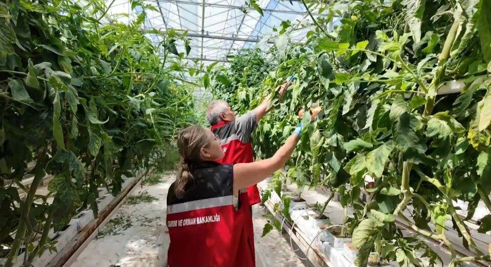 Güvenilir gıda için EKÜY çalışmaları sürüyor 4 Bülten Medya -
