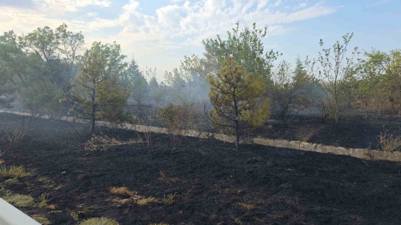Havsa’da anız yangını otobanı dumana bürüdü 11 Bülten Medya -