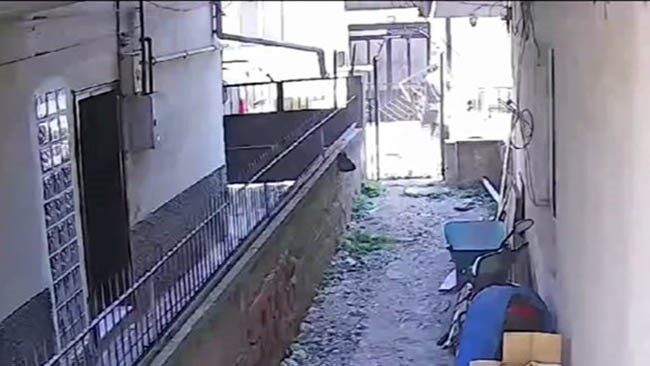 Hurdacının cesareti pes dedirtti 12 Bülten Medya -