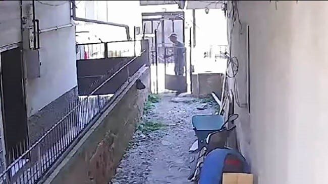 Hurdacının cesareti pes dedirtti 10 Bülten Medya -