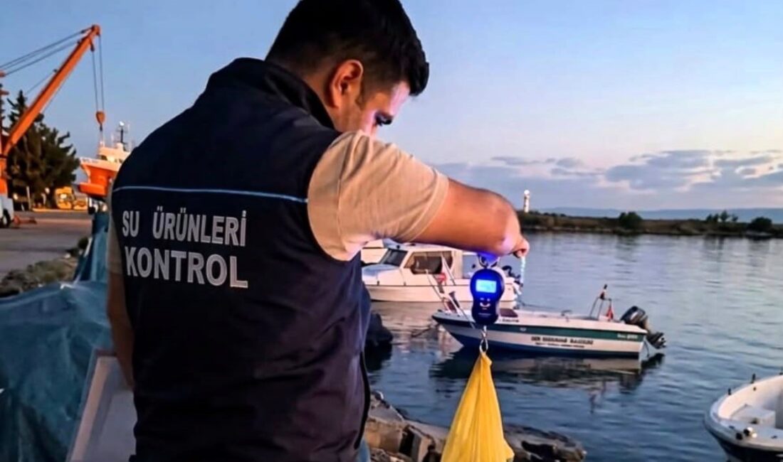 İğneada’da amatör balıkçılar denetlendi Kırklareli’nin İğneada beldesinde, İl Tarım ve Orman Müdürlüğü teknik personellerince