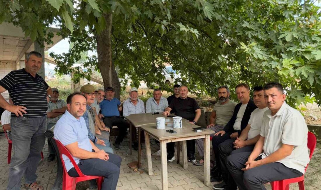 İl Başkanı Yıldırım köylerde vatandaşlarla buluştu AK Parti Bilecik İl Başkanı Serkan Yıldırım, köylerde vatandaşlarla buluştu.