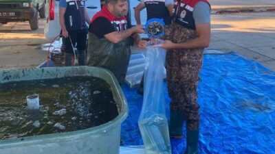 Edirne’nin İpsala ilçesindeki Su Ürünleri Üretim İstasyonu’nda yetiştirilen 2 milyon