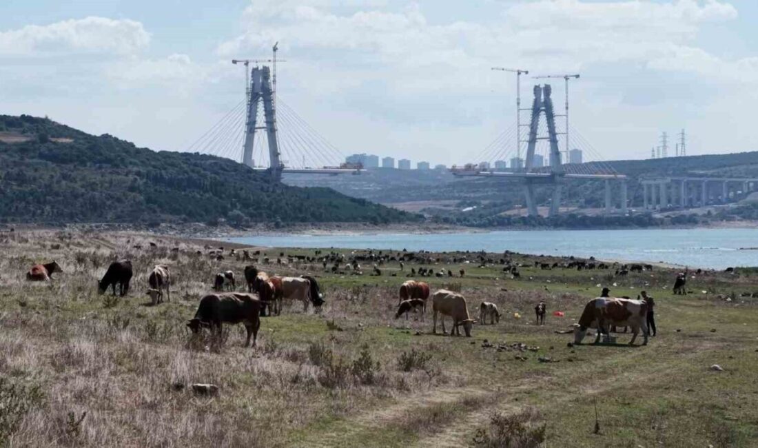 İstanbul Barajlarında kuraklık tehlikesi: Doluluk oranları yüzde 48 seviyesine geriledi İstanbul’un Arnavutköy ilçesinde bulunan Sazlıbosna Barajı’nda su seviyesinin yüzde 26,91