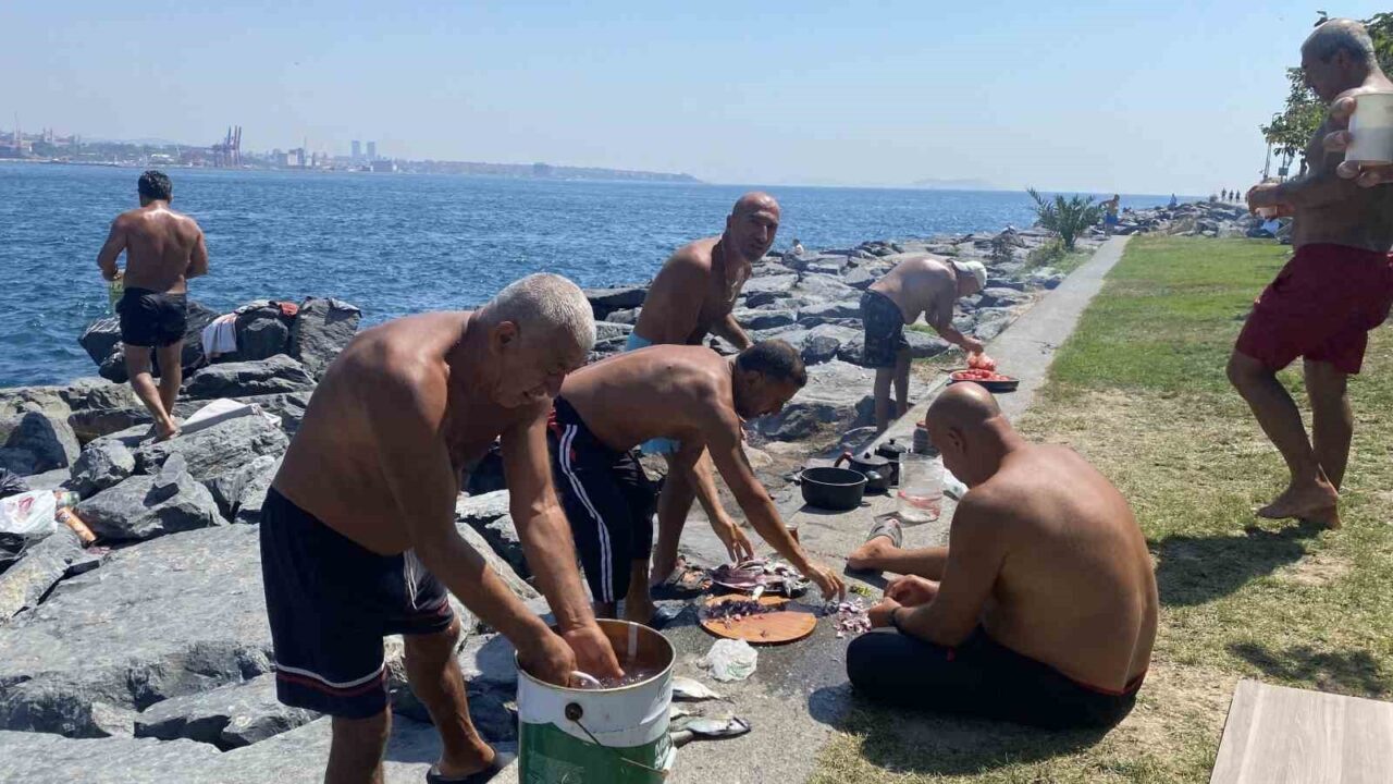 Bülten Medya -