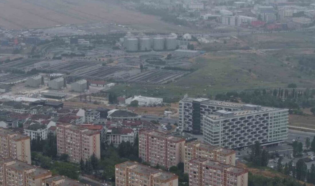 İstanbul Semalarında Şaşırtan Görüntü! Yüzlerce Leylek Göç Yolunda İstanbul’da gri ve puslu hava etkili olurken, Beylikdüzü semalarında yüzlerce