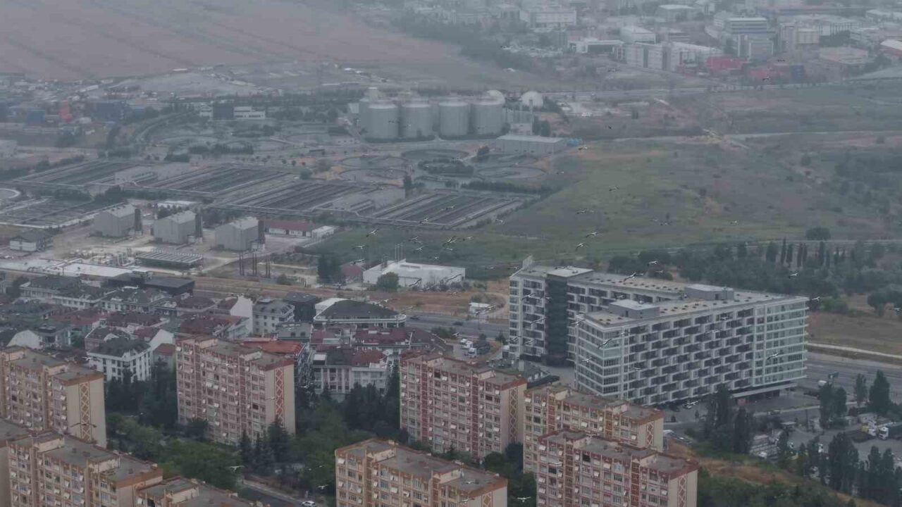 İstanbul’da gri ve puslu hava etkili olurken, Beylikdüzü semalarında yüzlerce