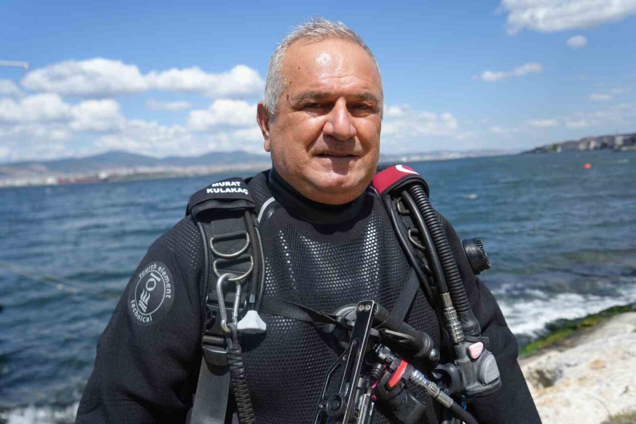 İzmit Körfezi adeta akvaryuma dönüştü: Deniz canlıları geri geldi 80 Bülten Medya -