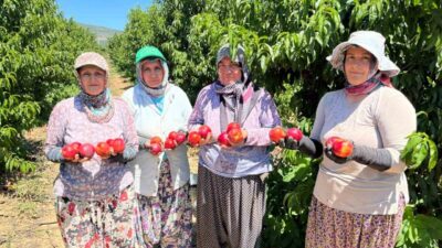 Tarihi ve turizmiyle olduğu kadar verimli tarım arazileriyle de öne