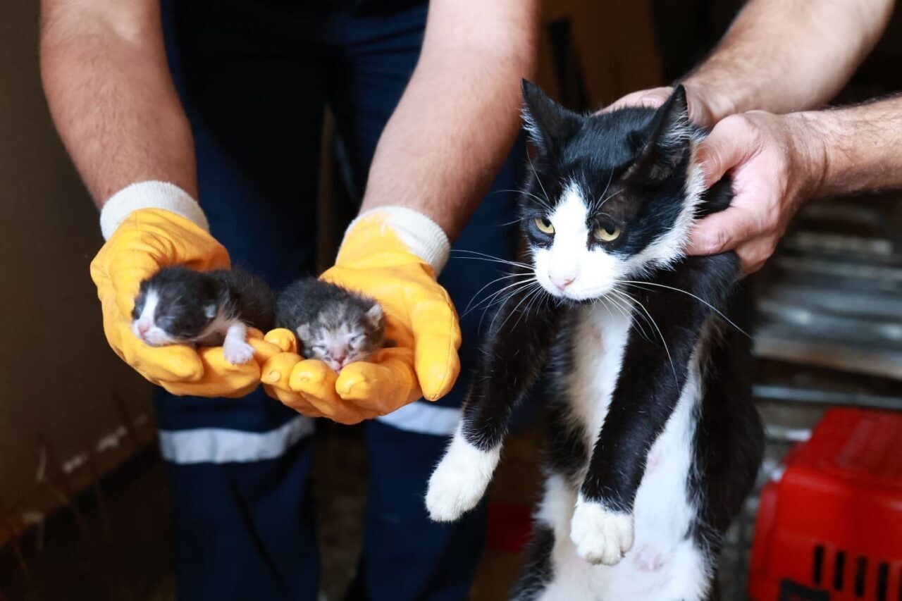 Kaçak bina yıkımında hayat kurtaran müdahale 16 Bülten Medya -