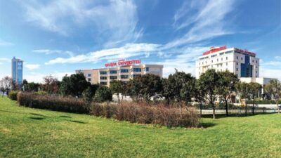 Yapay zekânın iş gücü piyasasında oluşturduğu dönüşüm, kadın istihdamı açısından
