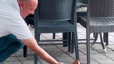 Bursa’nın İnegöl ilçesinde bir çay bahçesine gelen sincap, vatandaşların ilgisini
