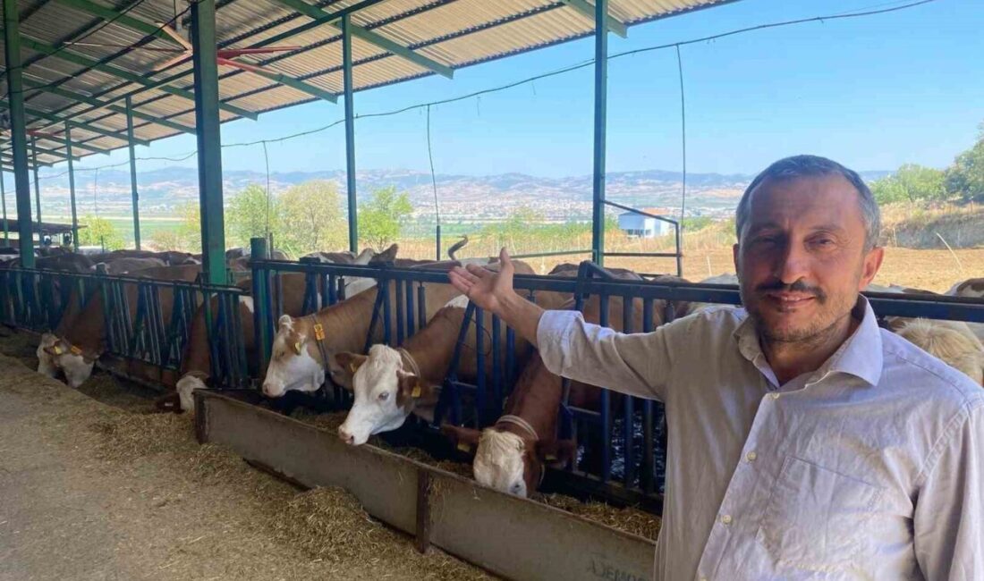 Bursa’daki süt üreticileri teknolojik ürünler sayesinde Avrupa standartlarında süt üretimi
