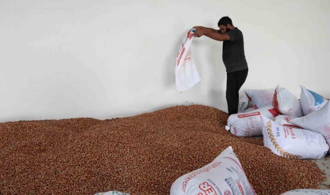 Kandıra’da hizmete açılan Tarımsal Ürün Depolama ve Değerlendirme Merkezi’nde fındık