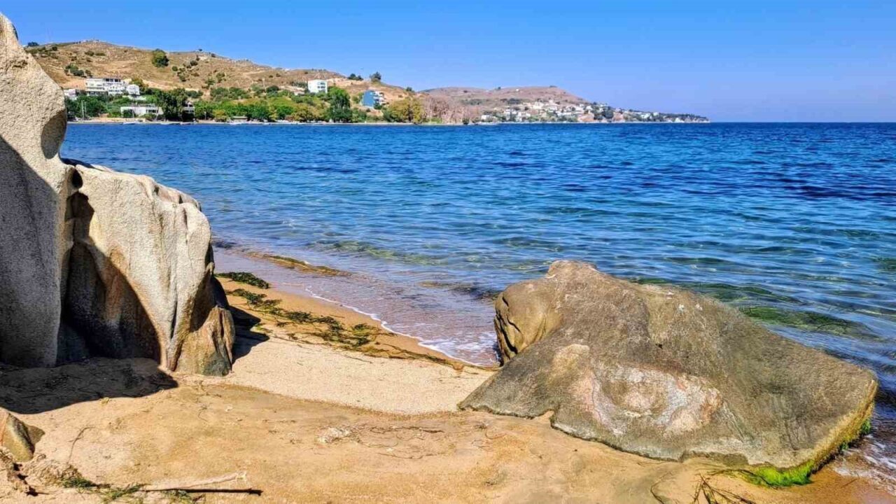 Kapıdağ’da sürpriz misafir: Yavru vatoz kıyıya geldi 18 Bülten Medya -
