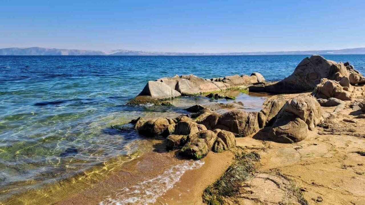 Kapıdağ’da sürpriz misafir: Yavru vatoz kıyıya geldi 19 Bülten Medya -