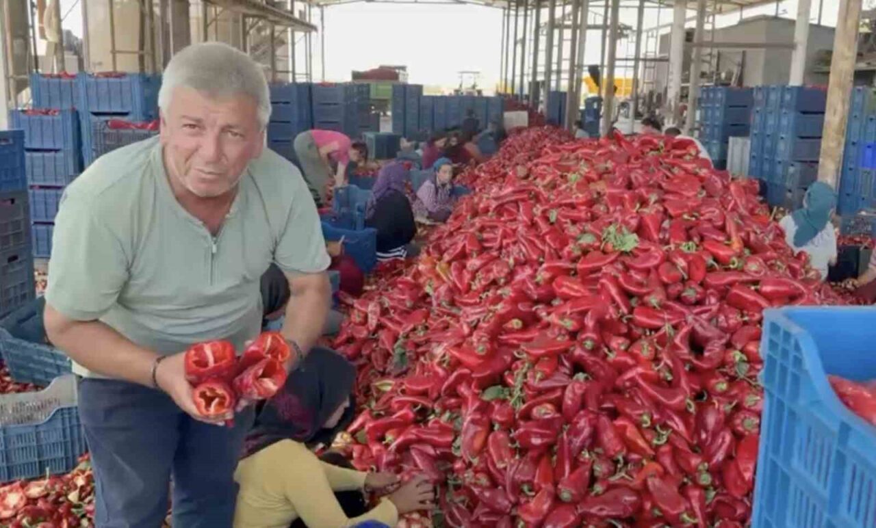 Bülten Medya -