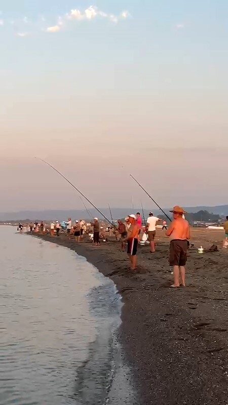 Karacabey sahillerinde istavrit bereketi 12 Bülten Medya -