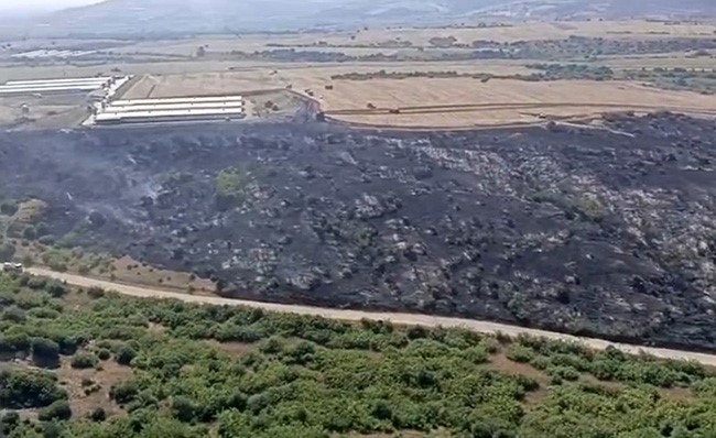 Karacabey’de makilik alandaki yangın fabrikaya ulaşmadan söndürüldü Bursa’nın Karacabey ilçesi Hayırlar Mahallesi’nde makilik alanda orman yangını çıktı.