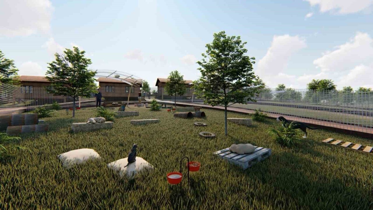 Can dostlar için dev proje başladı! 1 Bülten Medya -