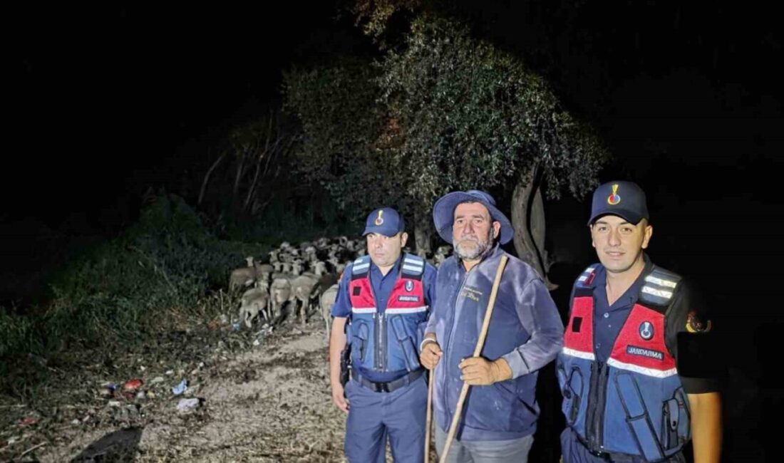 Kayıp ihbarı yapılan çoban ile 100 koyun bulundu Bilecik’te kayıp ihbarı yapılan çoban ile 100 koyun, jandarma ekiplerinin