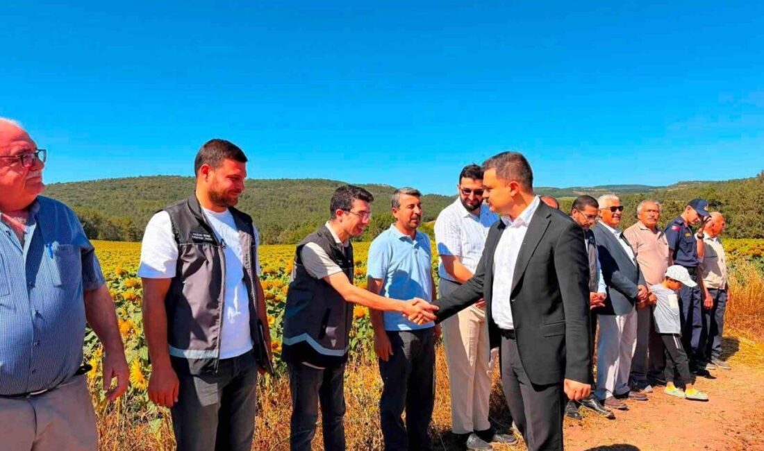 Kaymakam Titiz hasat sevincine ortak oldu Bilecik’in Gölpazarı ilçesinde Gölpazarı Kaymakamı Onur Titiz, hasat sevincine ortak