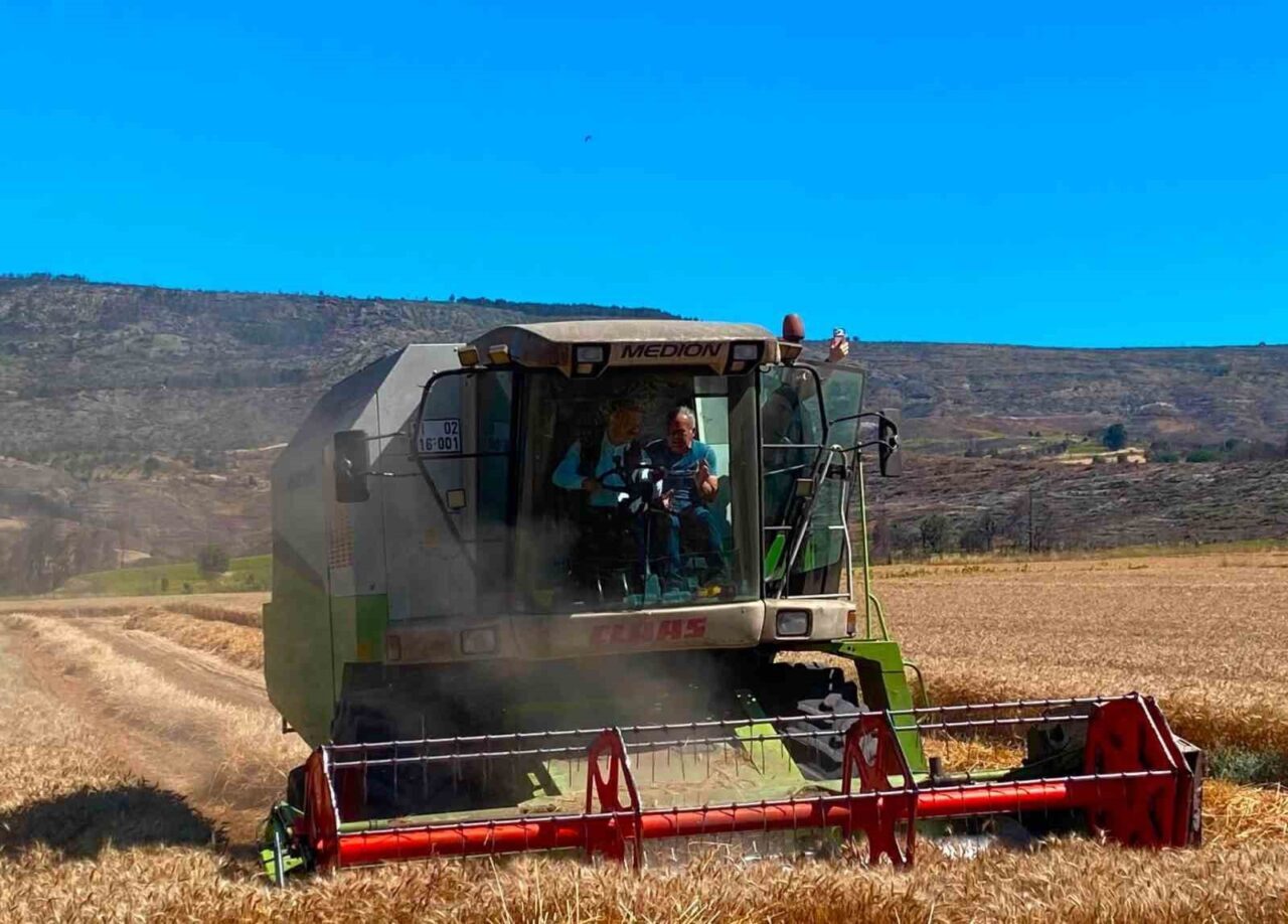 Kaymakam Titiz hasat sevincine ortak oldu 8 Bülten Medya -